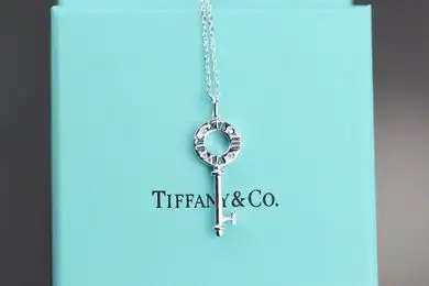 Tiffany necklace lyh8